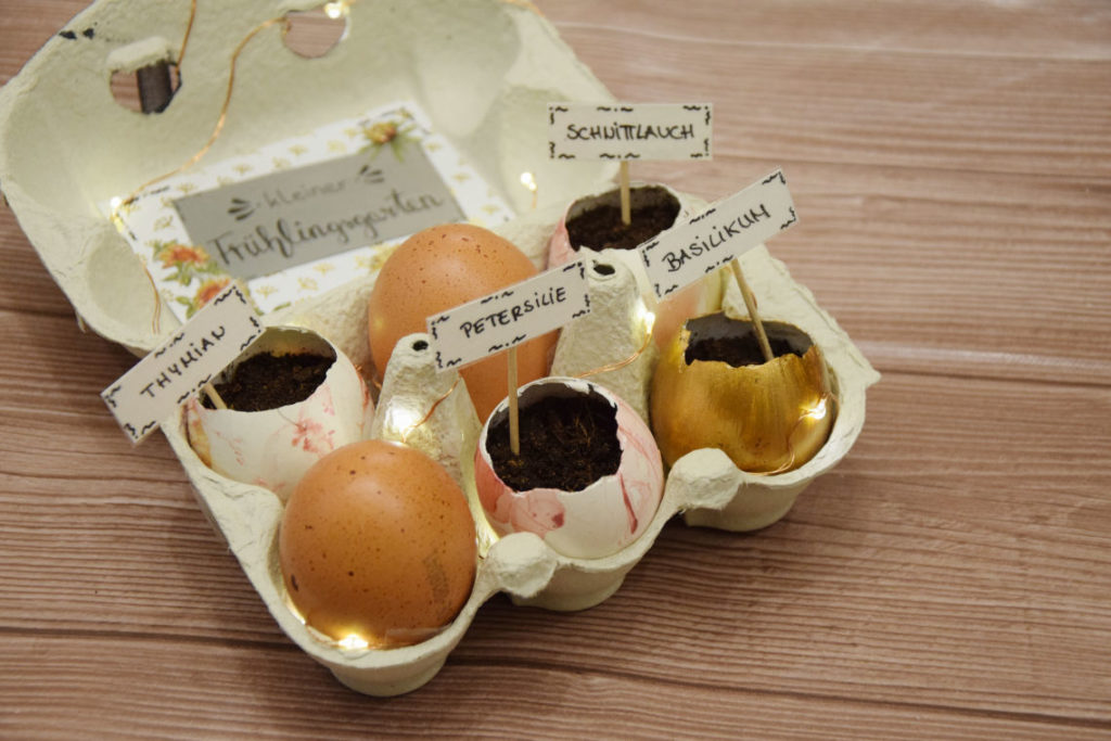 DIY Ostergeschenk: Frühlingsgarten im Eierkarton